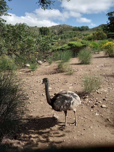 Sierra del Tigre Natural Reserve